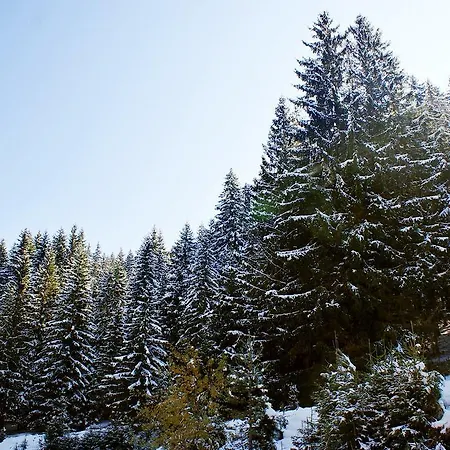 Winslow Infinity And Bansko